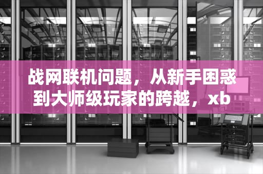 战网联机问题,从新手困惑到大师级玩家的跨越,xbox无法连接到战网 战网联机问题,从新手困惑到大师级玩家的跨越,xbox无法连接到战网