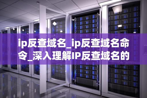 ip反查域名_ip反查域名命令_深入理解IP反查域名的技术与应用