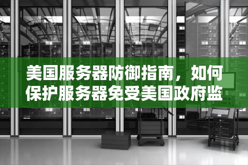 美国服务器防御指南，如何保护服务器免受美国政府监控和攻击，美国服务器防御木马病毒入侵