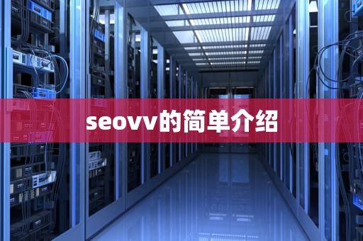 seovv的简单介绍
