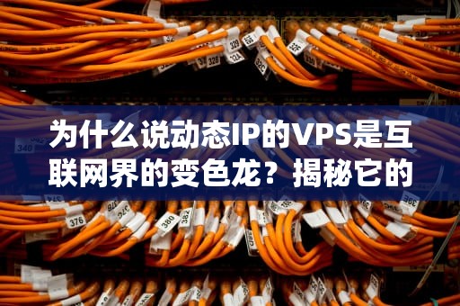 为什么说动态IP的VPS是互联网界的变色龙？揭秘它的5大神仙用法！