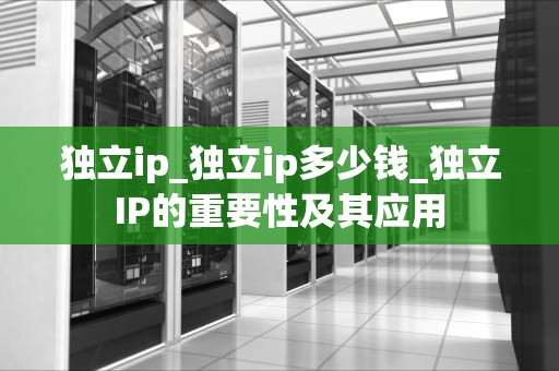 独立ip_独立ip多少钱_独立IP的重要性及其应用