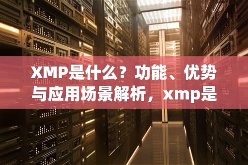 XMP是什么？功能、优势与应用场景解析，xmp是什么格式的文件
