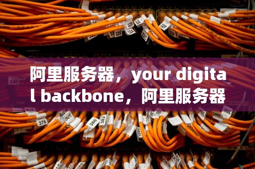 阿里服务器，your digital backbone，阿里服务器租用多少钱一年