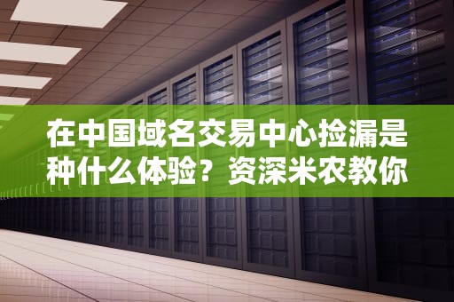 在中国域名交易中心捡漏是种什么体验？资深米农教你3招避坑指南