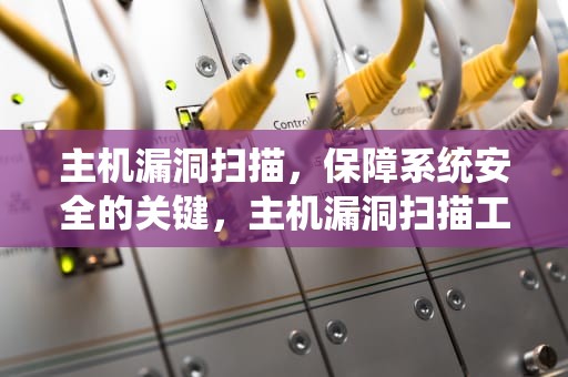 主机漏洞扫描，保障系统安全的关键，主机漏洞扫描工具