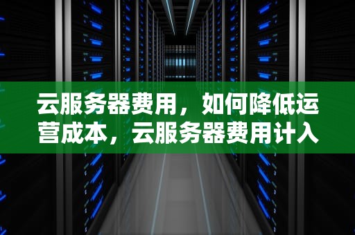 云服务器费用，如何降低运营成本，云服务器费用计入什么科目