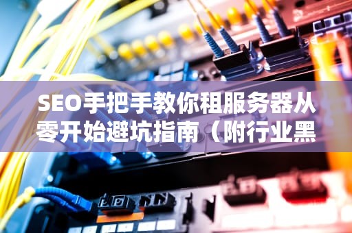SEO手把手教你租服务器从零开始避坑指南（附行业黑话解密）