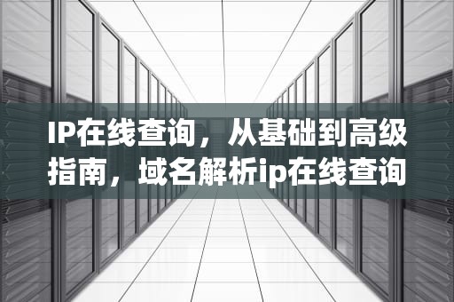 IP在线查询，从基础到高级指南，域名解析ip在线查询
