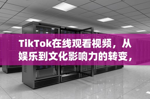 TikTok在线观看视频，从娱乐到文化影响力的转变，tiktok在线观看视频app