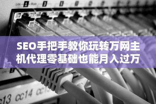 SEO手把手教你玩转万网主机代理零基础也能月入过万的秘密？