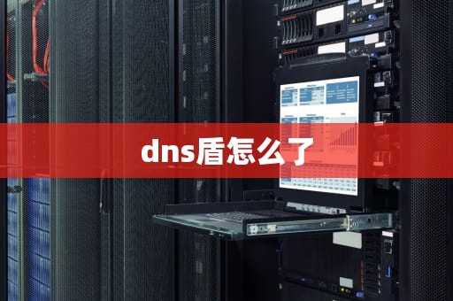 dns盾怎么了