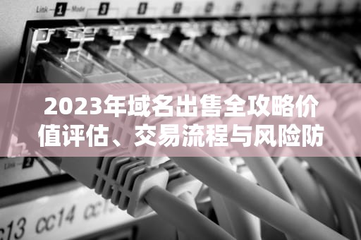 2023年域名出售全攻略价值评估、交易流程与风险防范