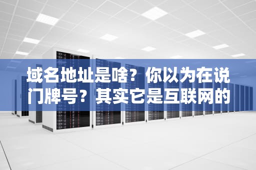 域名地址是啥？你以为在说门牌号？其实它是互联网的GPS！