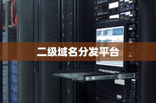 二级域名分发平台