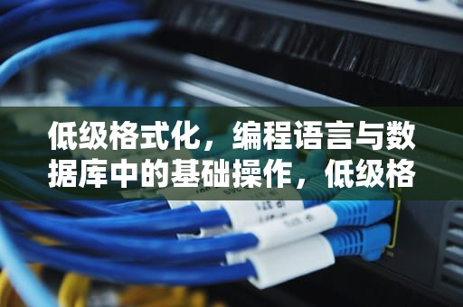 低级格式化，编程语言与数据库中的基础操作，低级格式化是什么意思