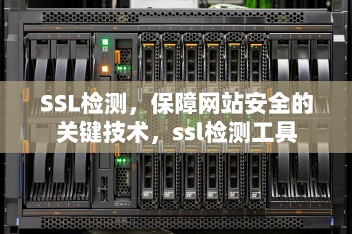 SSL检测，保障网站安全的关键技术，ssl检测工具