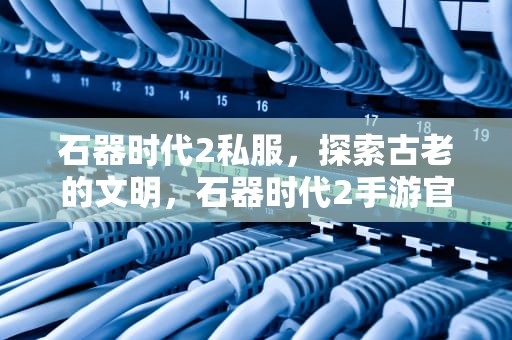 石器时代2私服，探索古老的文明，石器时代2手游官网
