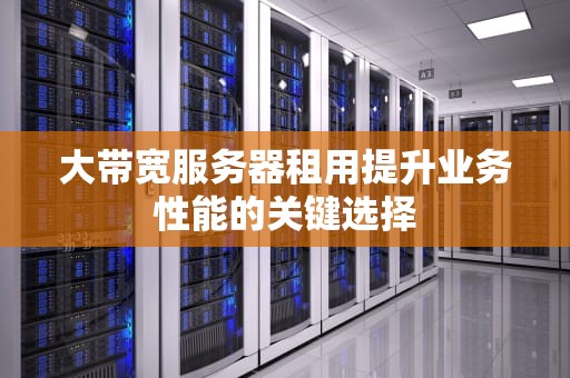 大带宽服务器租用提升业务性能的关键选择