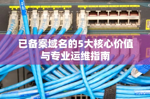 已备案域名的5大核心价值与专业运维指南