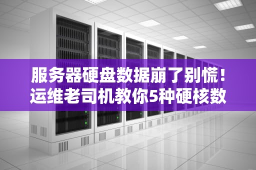 服务器硬盘数据崩了别慌！运维老司机教你5种硬核数据恢复姿势（附血泪教训）