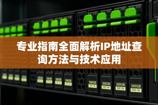 专业指南全面解析IP地址查询方法与技术应用