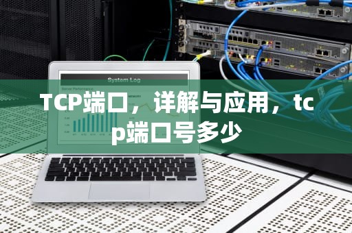 TCP端口，详解与应用，tcp端口号多少
