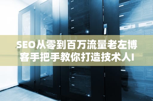 SEO从零到百万流量老左博客手把手教你打造技术人IP的骚操作