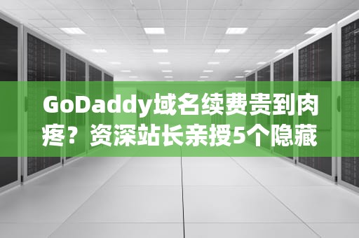 GoDaddy域名续费贵到肉疼？资深站长亲授5个隐藏优惠码使用技巧（附2023最新羊毛攻略）