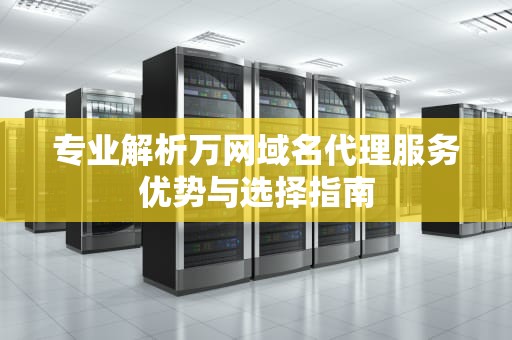 专业解析万网域名代理服务优势与选择指南
