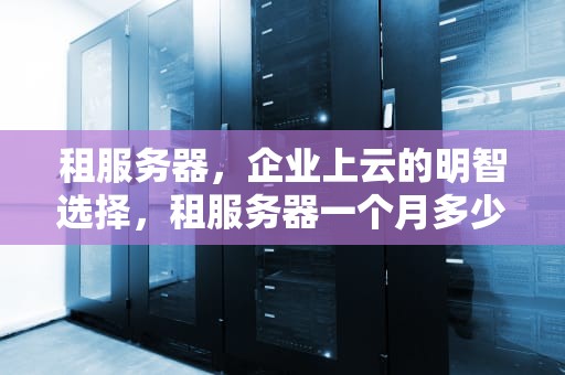 租服务器，企业上云的明智选择，租服务器一个月多少钱