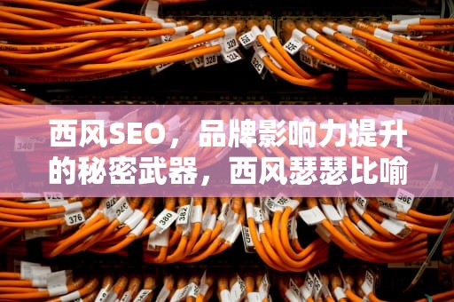 西风SEO，品牌影响力提升的秘密武器，西风瑟瑟比喻什么