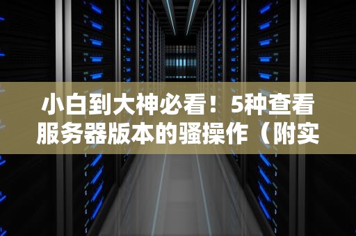 小白到大神必看！5种查看服务器版本的骚操作（附实战避坑指南）