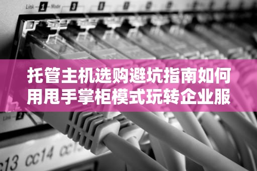 托管主机选购避坑指南如何用甩手掌柜模式玩转企业服务器？