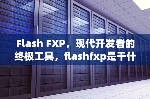 Flash FXP，现代开发者的终极工具，flashfxp是干什么的