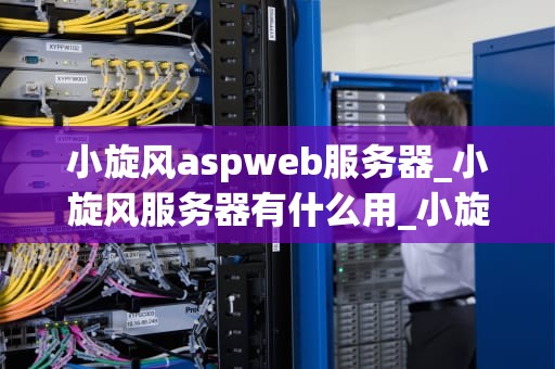 小旋风aspweb服务器_小旋风服务器有什么用_小旋风ASPWeb服务器的全面解析与应用