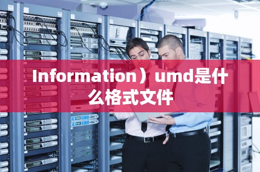 Information）umd是什么格式文件