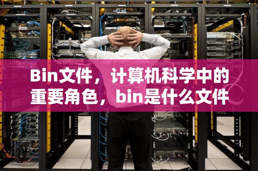 Bin文件，计算机科学中的重要角色，bin是什么文件格式怎么打开