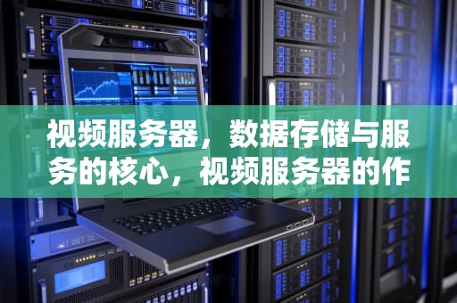 视频服务器，数据存储与服务的核心，视频服务器的作用是什么