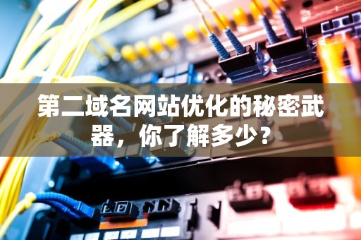 第二域名网站优化的秘密武器，你了解多少？