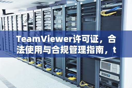 TeamViewer许可证，合法使用与合规管理指南，teamviewer许可证限制