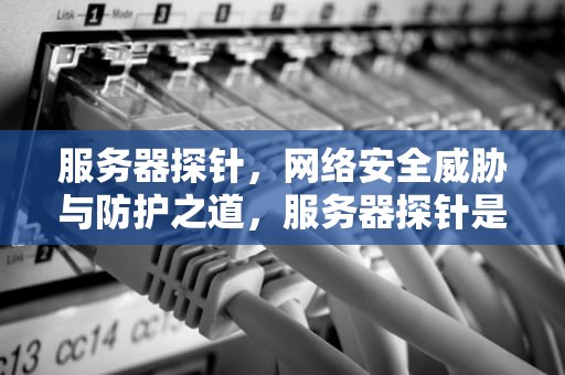 服务器探针，网络安全威胁与防护之道，服务器探针是什么