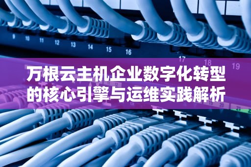 万根云主机企业数字化转型的核心引擎与运维实践解析