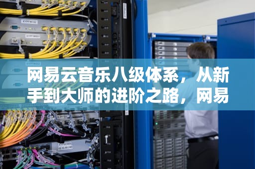 网易云音乐八级体系，从新手到大师的进阶之路，网易云八级需要听多少首歌