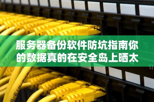 服务器备份软件防坑指南你的数据真的在安全岛上晒太阳吗？