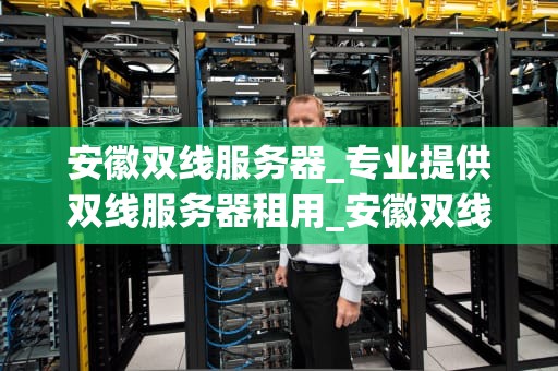 安徽双线服务器_专业提供双线服务器租用_安徽双线服务器的优势与应用
