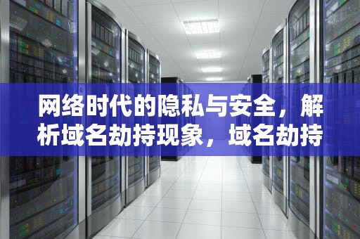 网络时代的隐私与安全，解析域名劫持现象，域名劫持怎么处理