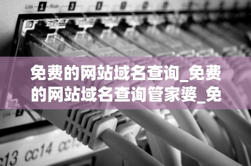免费的网站域名查询_免费的网站域名查询管家婆_免费网站域名查询的全面指南