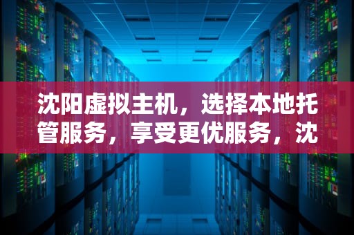 沈阳虚拟主机，选择本地托管服务，享受更优服务，沈阳虚拟主机生产厂家