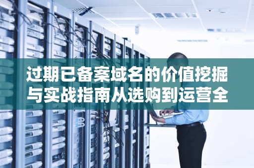 过期已备案域名的价值挖掘与实战指南从选购到运营全解析